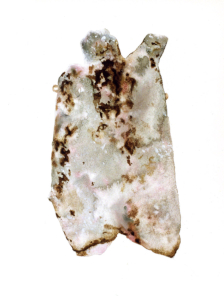 Llanrhidian wheel cross standing stone